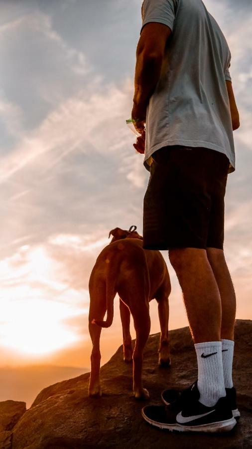 Familie Hotel Kameleon Elleringhausen エクステリア 写真